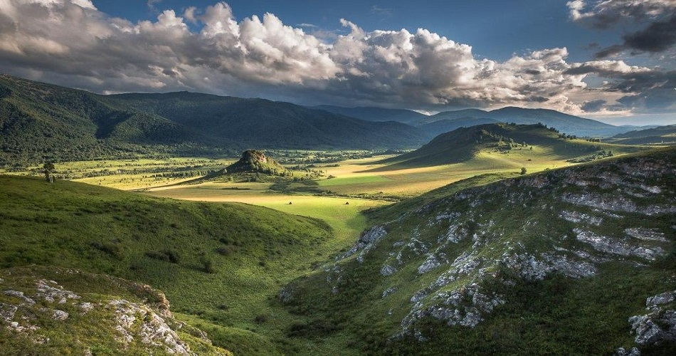Тигирекский заповедник