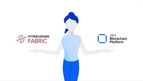  блокчейн-платформе IBM Hyperledger