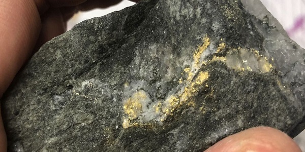 Компания Wallbridge Mining кусок породы с золотом